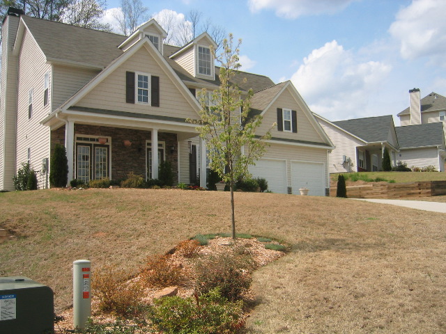 Different Angle of the front