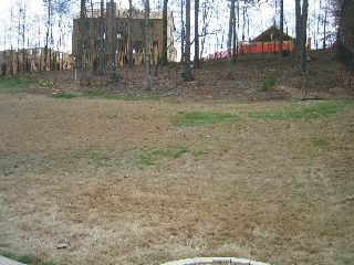 Back yard...lots of room for Cadbury!