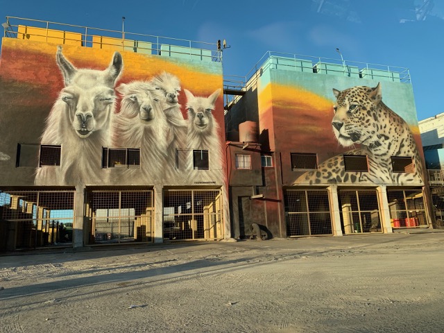 Street art on abandoned buildings on the way to the airport