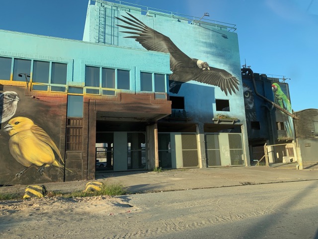 Beautiful building paintings