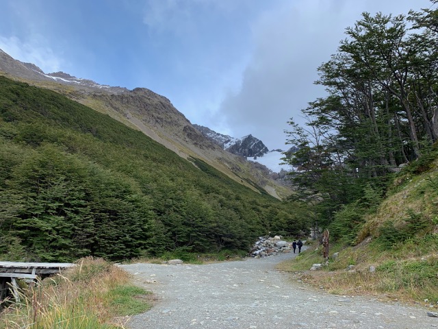 Looking back up the glacier