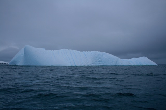 Iceberg