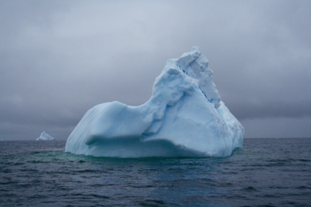 Iceberg