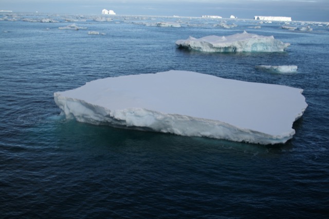 Iceberg
