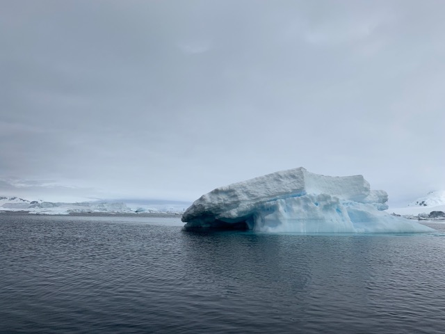 Sea Ice