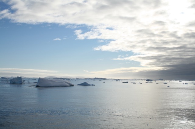 Looking out over the Southern Ocean