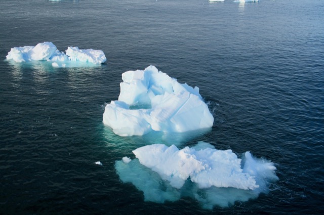 Beautiful white-blue growlers