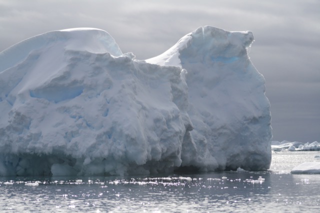 This one almost looks like a skull