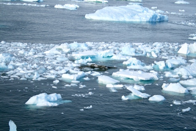 Myserious rocks in the middle of everything