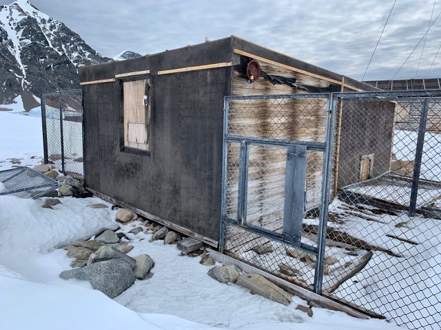 Pup Pen...I feel really sad for the dogs who had to live here