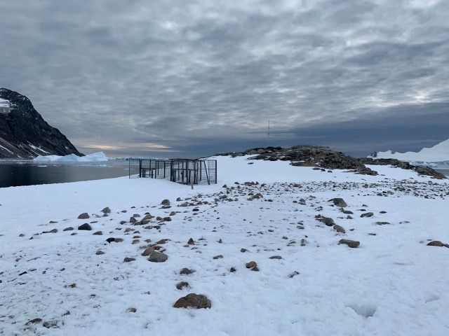 Dog pen for the USA compound