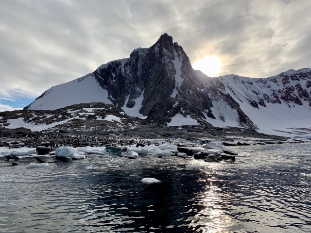 Adélie Penguin colony at sunrise