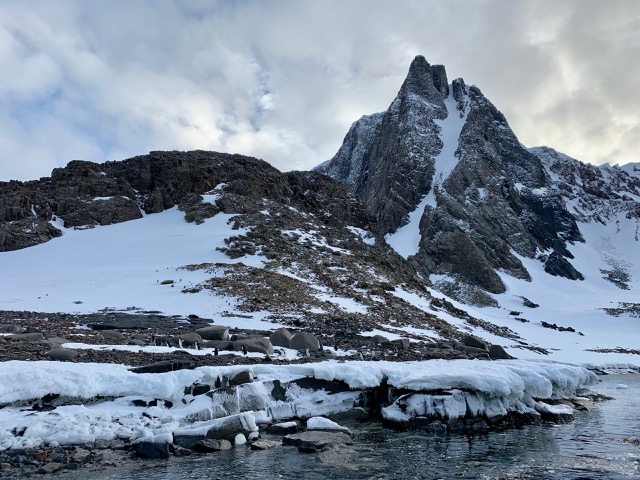 Adélie Penguins after the mountains