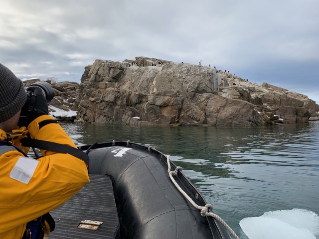 Jeremy taking pictures of the Antarctic Shags