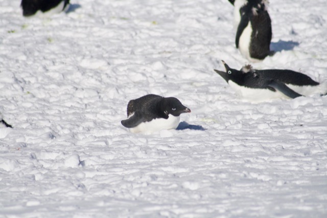 Laying down for a second