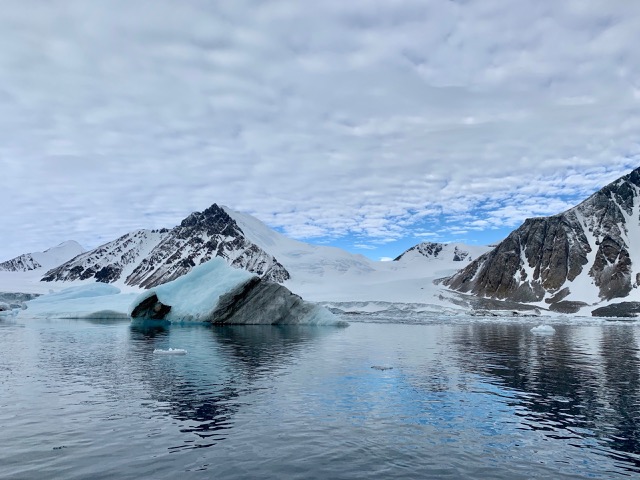 Brown streaks in the ice