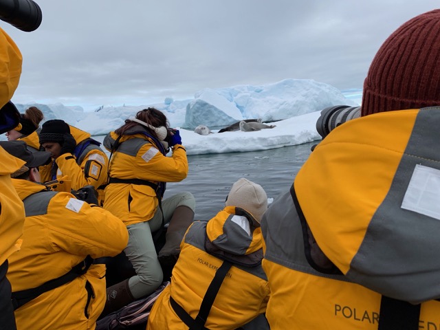Our Zodiac scrambling to take photos of the seals
