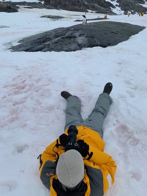 James, getting the shot of this penguin
