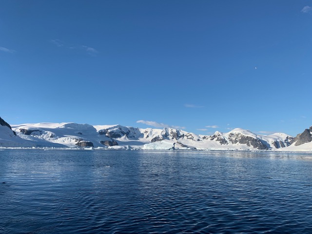 Cuverville Island