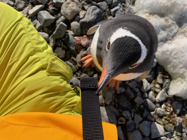 He really liked that strap