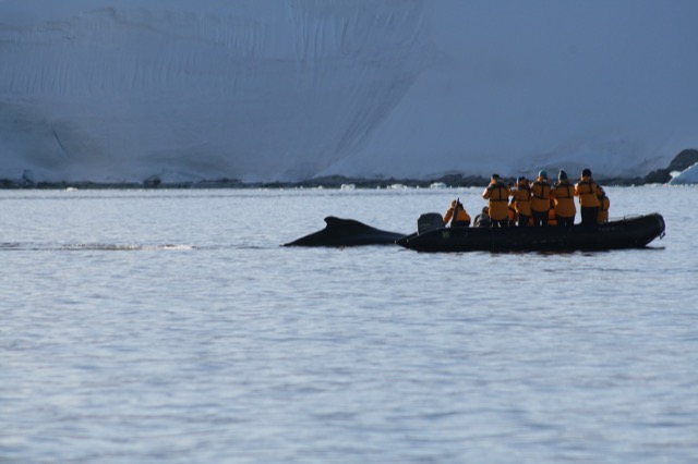 Looks like he's leaning down to pet him :)