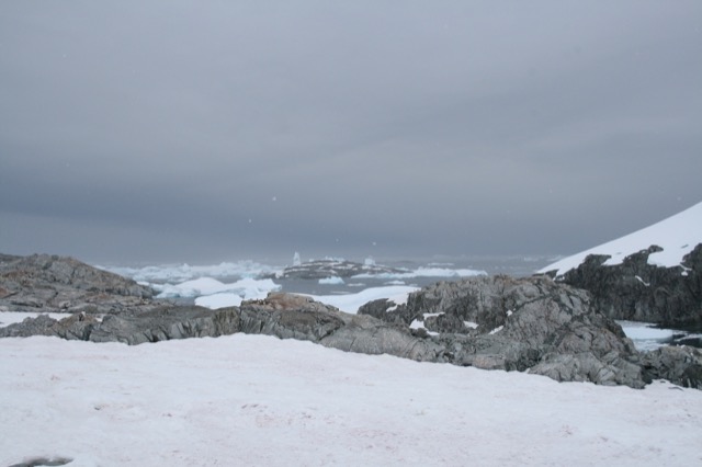 Checking out penguin colonies as we start the hike