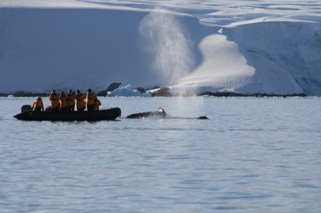 Getting misted from the whale's blow