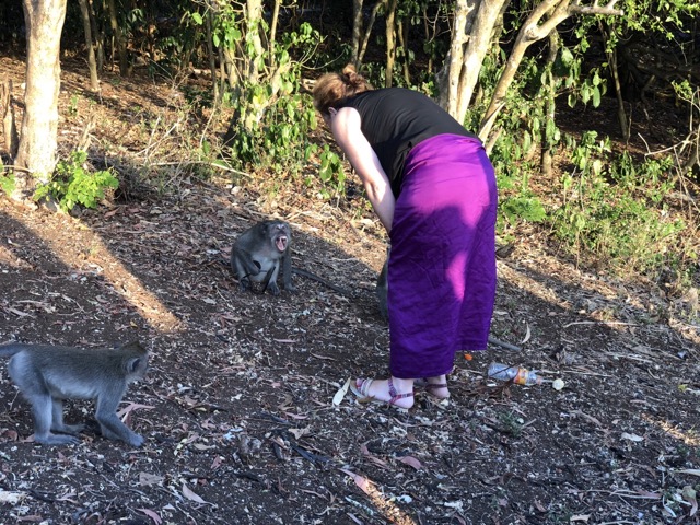 Lady asking for her glasses back that the monkey stole