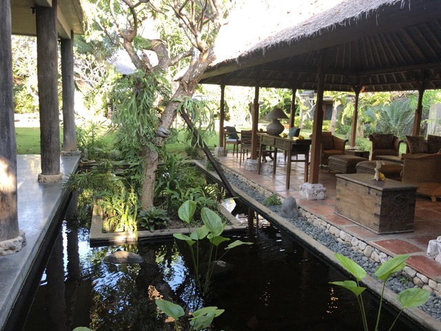 Our AirBNB: Frog pond