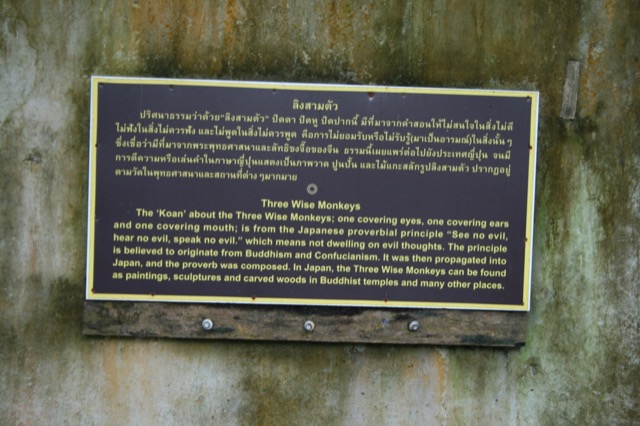 Detail about the monkeys