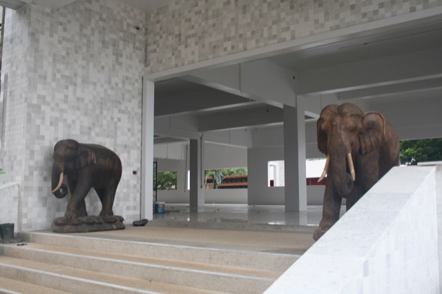 Underneath the Buddha