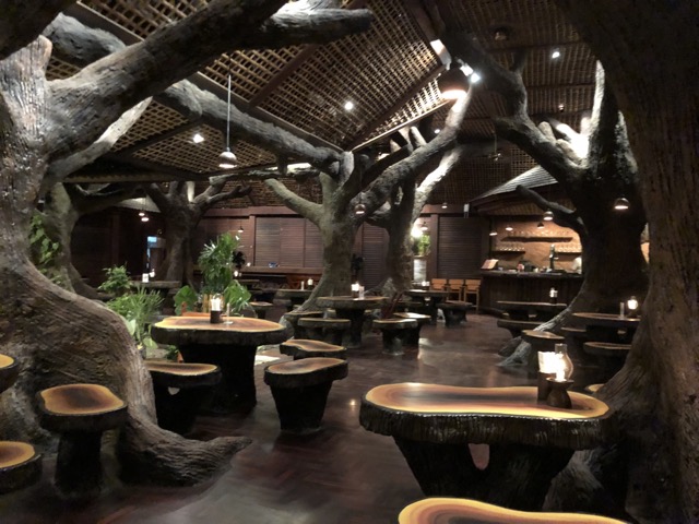 Inside the DIno Bar