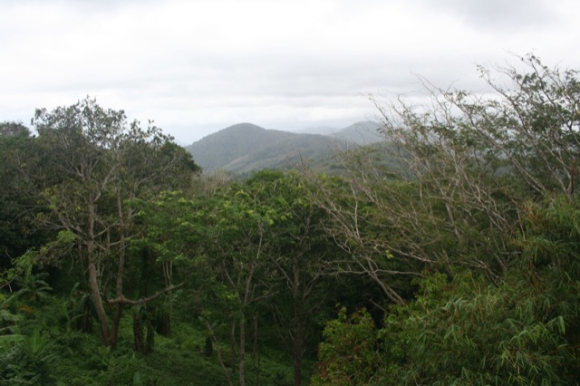 View of the mountains