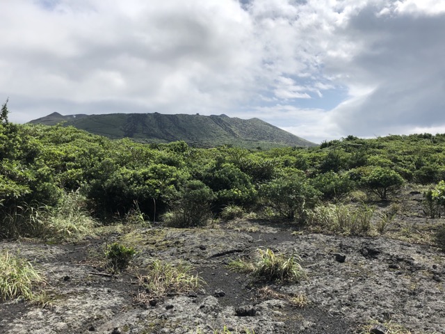 Looking up towards the volcano