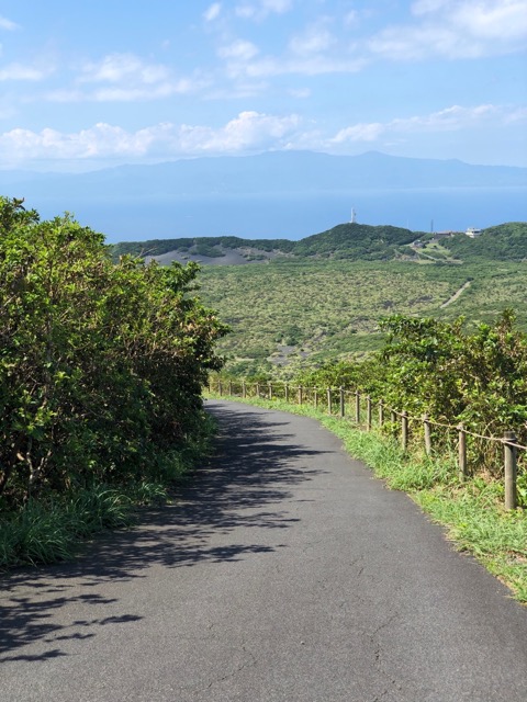 Looking back down the trail