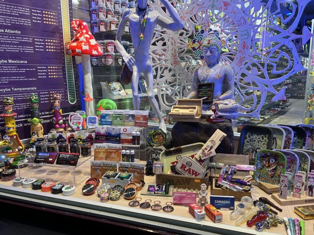 Weed and mushroom store