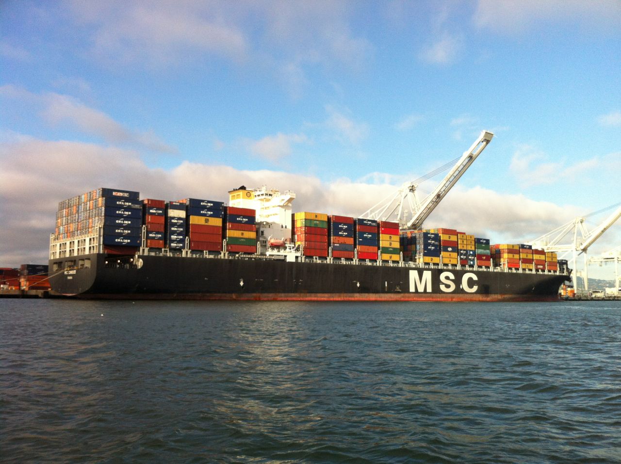 MSC Candice