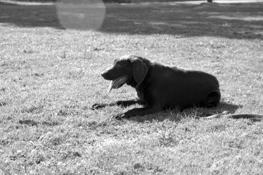 [08-lay-withglare.jpg]