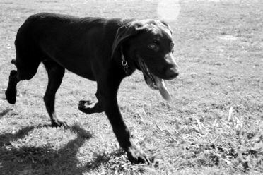 [11-closeup-walk.jpg]