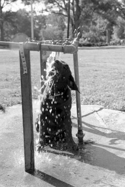 [13-water-front.jpg]