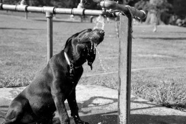 [16-water-side2.jpg]