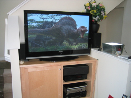 Brand New 50" Plasma TV