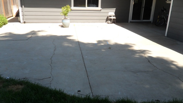 Before: Looking towards house