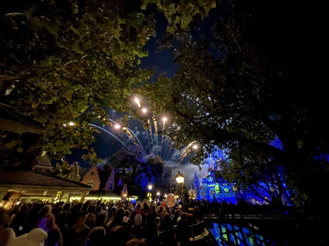 Fireworks over Magic Kingdom