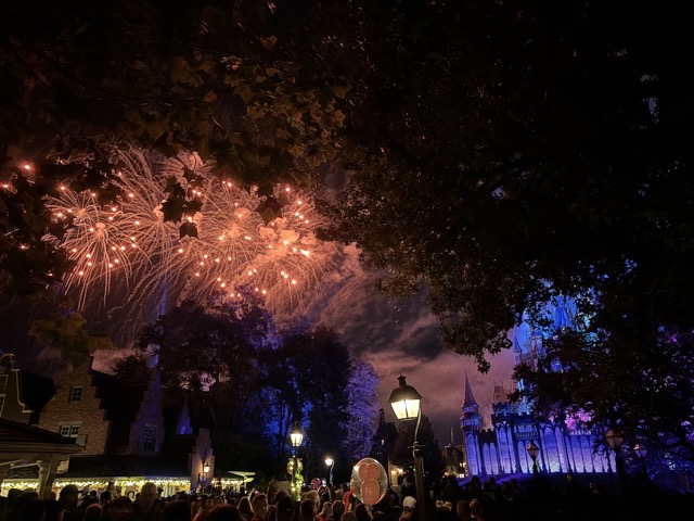 Fireworks over Magic Kingdom