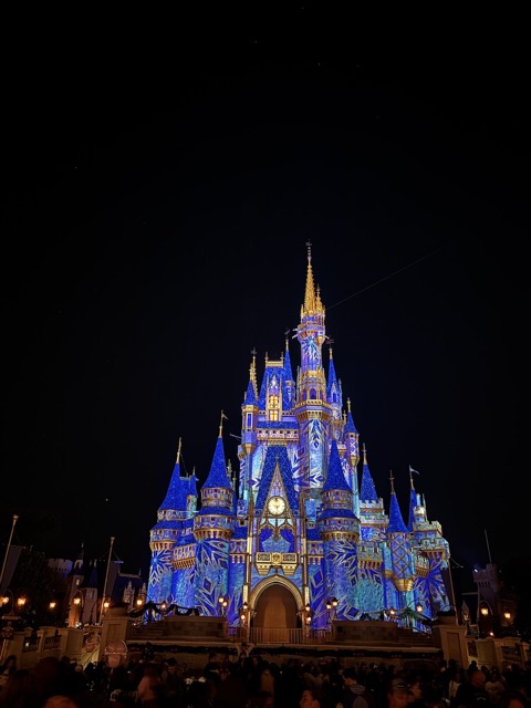Cinderella's Castle