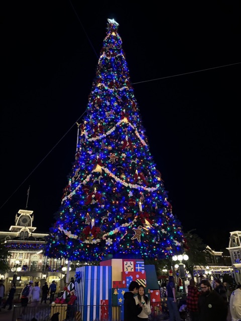 Christmas Tree in Magic Kingdom