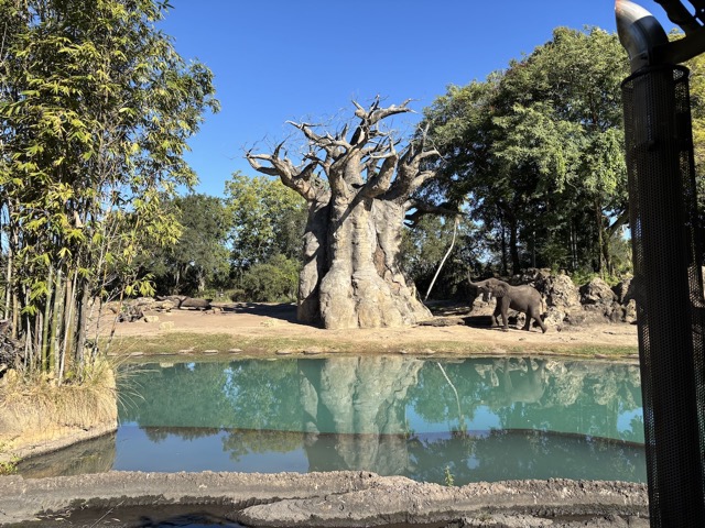 Tree of Life with Elephant
