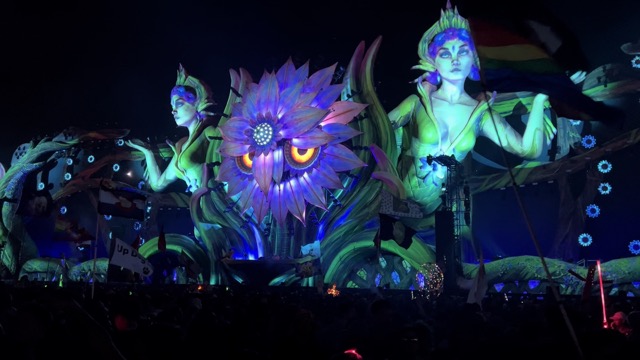 Kinetic Bloom ceremony with the owl awakening