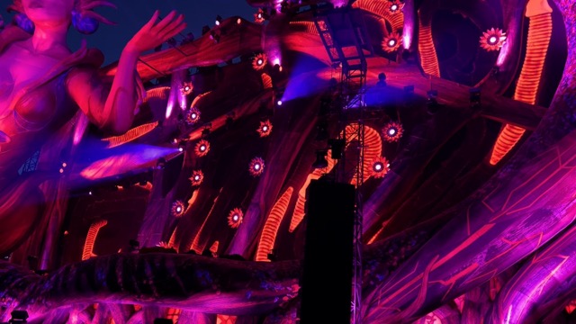 Kaskade playing What You Want by Sander van Doorn